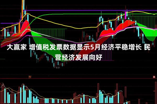 大赢家 增值税发票数据显示5月经济平稳增长 民营经济发展向好